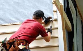 Best Historical Building Siding Restoration  in Novato, CA